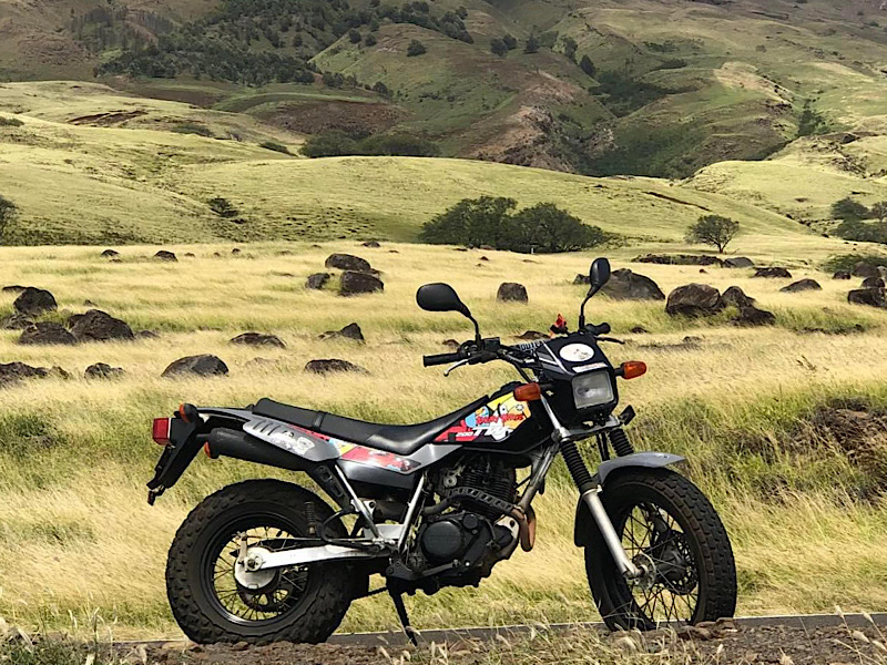 Kaupo