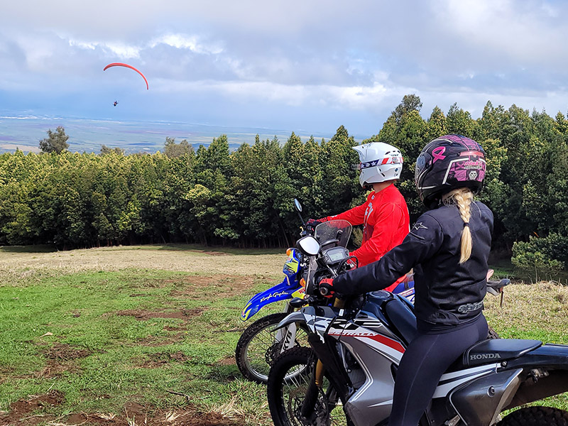 Paragliders